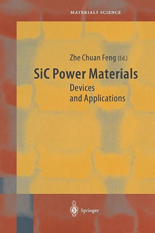 Kniha SiC Power Materials Zhe Chuan Feng