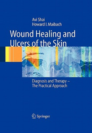 Könyv Wound Healing and Ulcers of the Skin Avi Shai