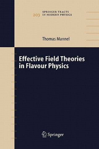 Carte Effective Field Theories in Flavour Physics Thomas Mannel