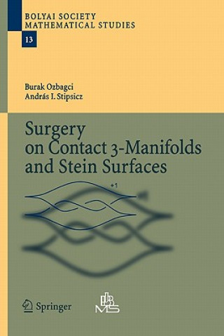 Könyv Surgery on Contact 3-Manifolds and Stein Surfaces Burak Ozbagci