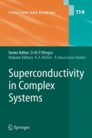 Könyv Superconductivity in Complex Systems Karl Alexander Müller