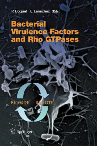 Livre Bacterial Virulence Factors and Rho GTPases Patrice Boquet