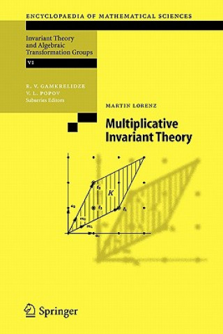 Libro Multiplicative Invariant Theory Martin Lorenz