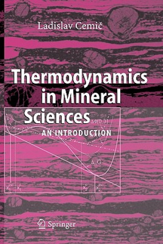 Kniha Thermodynamics in Mineral Sciences Ladislav Cemic