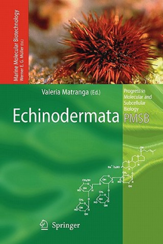 Carte Echinodermata Valeria Matranga