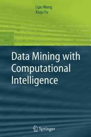 Livre Data Mining with Computational Intelligence Lipo Wang