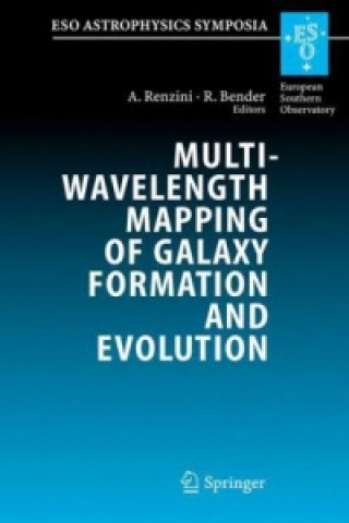 Kniha Multiwavelength Mapping of Galaxy Formation and Evolution Alvio Renzini