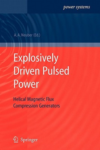 Könyv Explosively Driven Pulsed Power Andreas A. Neuber