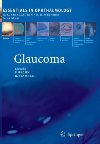 Kniha Glaucoma Franz Grehn