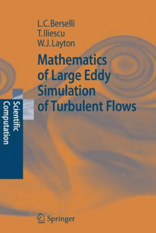 Buch Mathematics of Large Eddy Simulation of Turbulent Flows Luigi Carlo Berselli