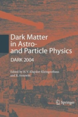 Buch Dark Matter in Astro- and Particle Physics Hans-Volker Klapdor-Kleingrothaus
