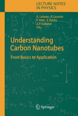 Könyv Understanding Carbon Nanotubes Annick Loiseau