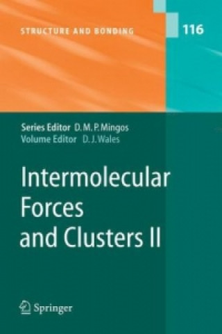 Könyv Intermolecular Forces and Clusters II D. Wales