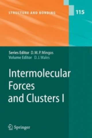Könyv Intermolecular Forces and Clusters I D. Wales