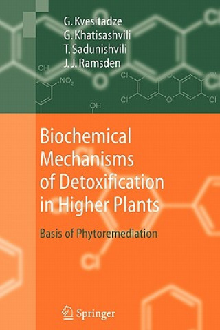 Kniha Biochemical Mechanisms of Detoxification in Higher Plants George Kvesitadze
