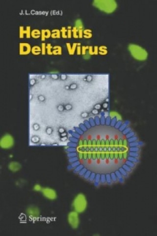 Könyv Hepatitis Delta Virus John L. Casey