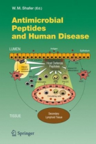 Kniha Antimicrobial Peptides and Human Disease William M. Shafer