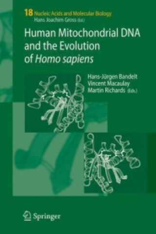 Könyv Human Mitochondrial DNA and the Evolution of Homo sapiens Hans-Jürgen Bandelt