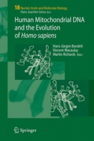 Książka Human Mitochondrial DNA and the Evolution of Homo sapiens Hans-Jürgen Bandelt