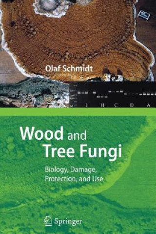 Kniha Wood and Tree Fungi Olaf Schmidt