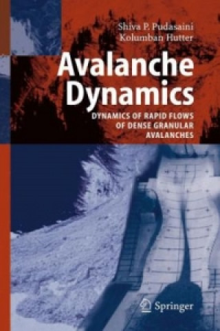Carte Avalanche Dynamics S.P. Pudasaini