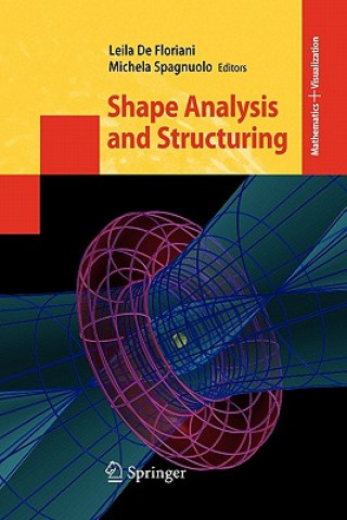 Livre Shape Analysis and Structuring Leila de Floriani