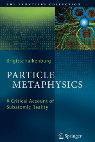 Książka Particle Metaphysics Brigitte Falkenburg