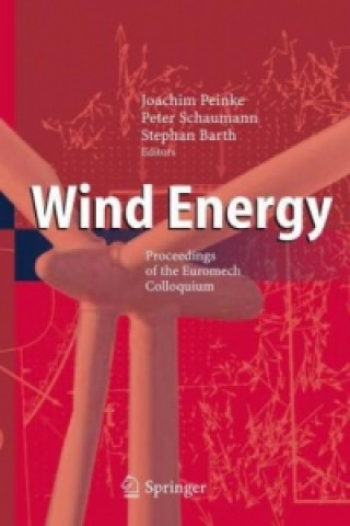 Książka Wind Energy Joachim Peinke