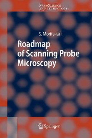 Książka Roadmap of Scanning Probe Microscopy Seizo Morita