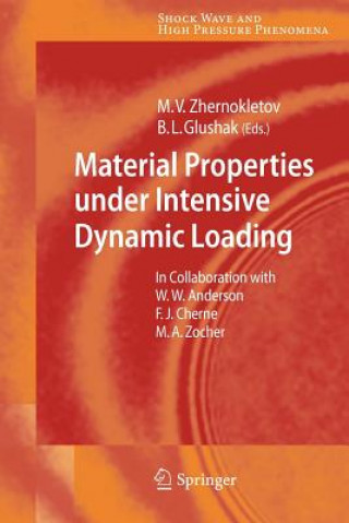Kniha Material Properties under Intensive Dynamic Loading Mikhail V. Zhernokletov
