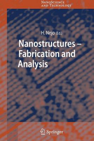 Könyv Nanostructures Hitoshi Nejo