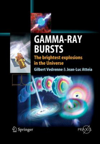 Kniha Gamma-Ray Bursts Gilbert Vedrenne
