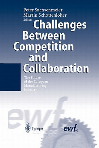Könyv Challenges Between Competition and Collaboration Peter Sachsenmeier