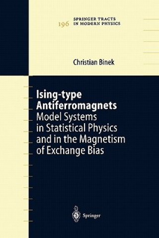 Kniha Ising-type Antiferromagnets Christian Binek