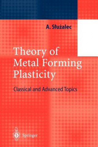 Buch Theory of Metal Forming Plasticity Andrzej Sluzalec