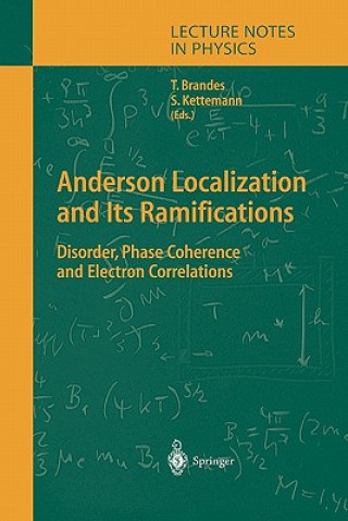 Buch Anderson Localization and Its Ramifications Tobias Brandes