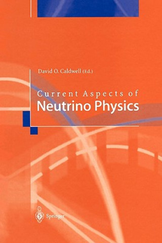 Könyv Current Aspects of Neutrino Physics David O. Caldwell