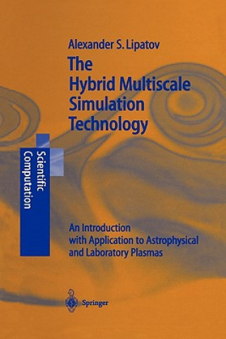 Kniha Hybrid Multiscale Simulation Technology Alexander S. Lipatov
