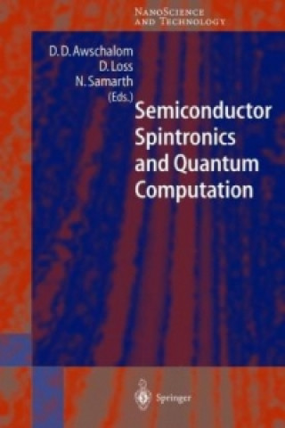 Book Semiconductor Spintronics and Quantum Computation D.D. Awschalom