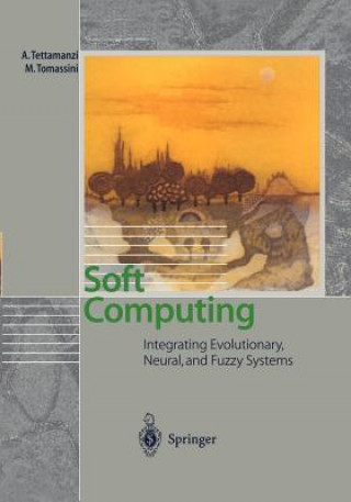 Buch Soft Computing Andrea Tettamanzi