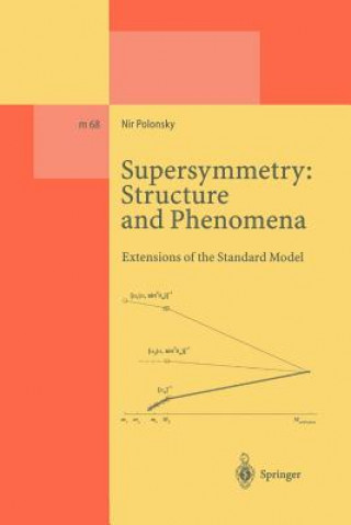 Buch Supersymmetry: Structure and Phenomena Nir Polonsky