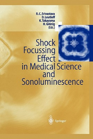Kniha Shock Focussing Effect in Medical Science and Sonoluminescence Ramesh C. Srivastava