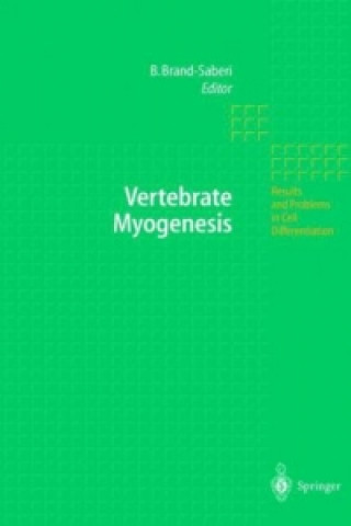 Kniha Vertebrate Myogenesis Beate Brand-Saberi