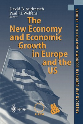 Książka New Economy and Economic Growth in Europe and the US David B. Audretsch