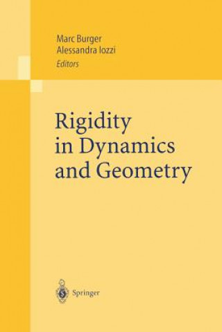 Libro Rigidity in Dynamics and Geometry Marc Burger