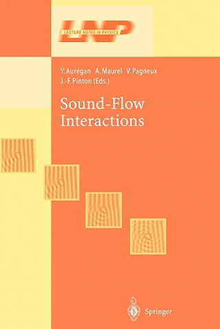 Книга Sound-Flow Interactions Y. Auregan