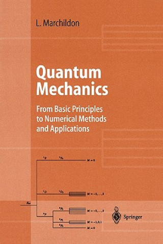 Carte Quantum Mechanics Louis Marchildon