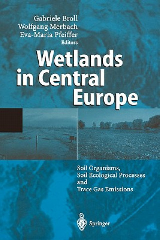 Kniha Wetlands in Central Europe Gabriele Broll