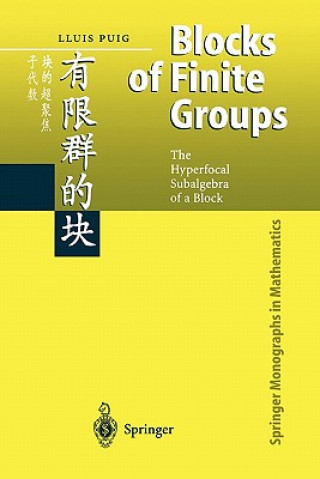 Könyv Blocks of Finite Groups Lluis Puig