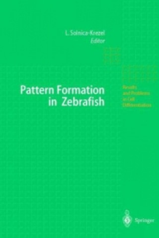 Boek Pattern Formation in Zebrafish Lilianna Solnica-Krezel
